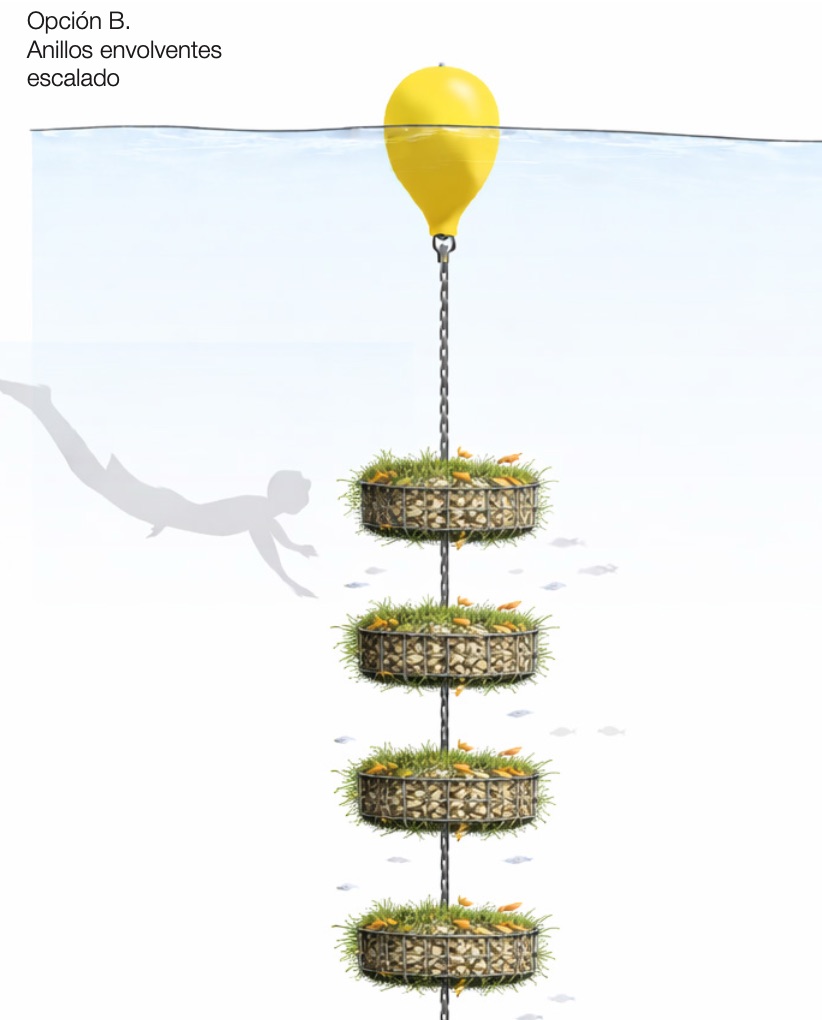 Esquema de anillos envolventes en la cadena